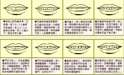 牙齒 面相|面相大全——牙齒